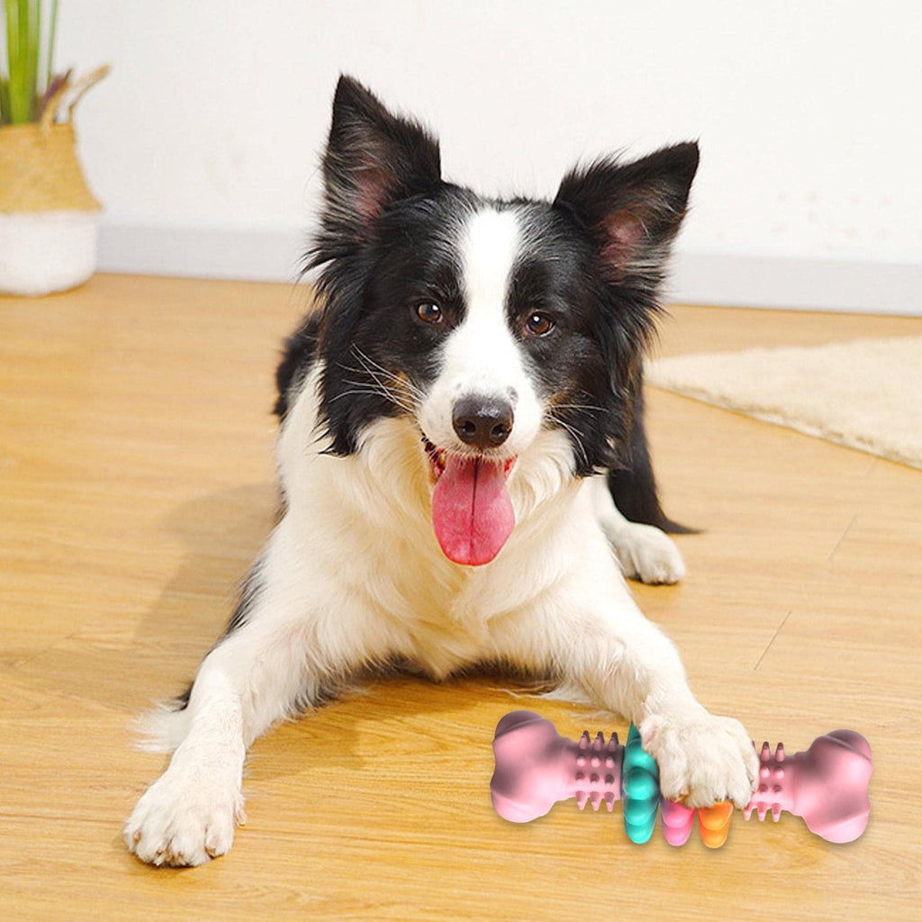 Durable Bone Chew Toy