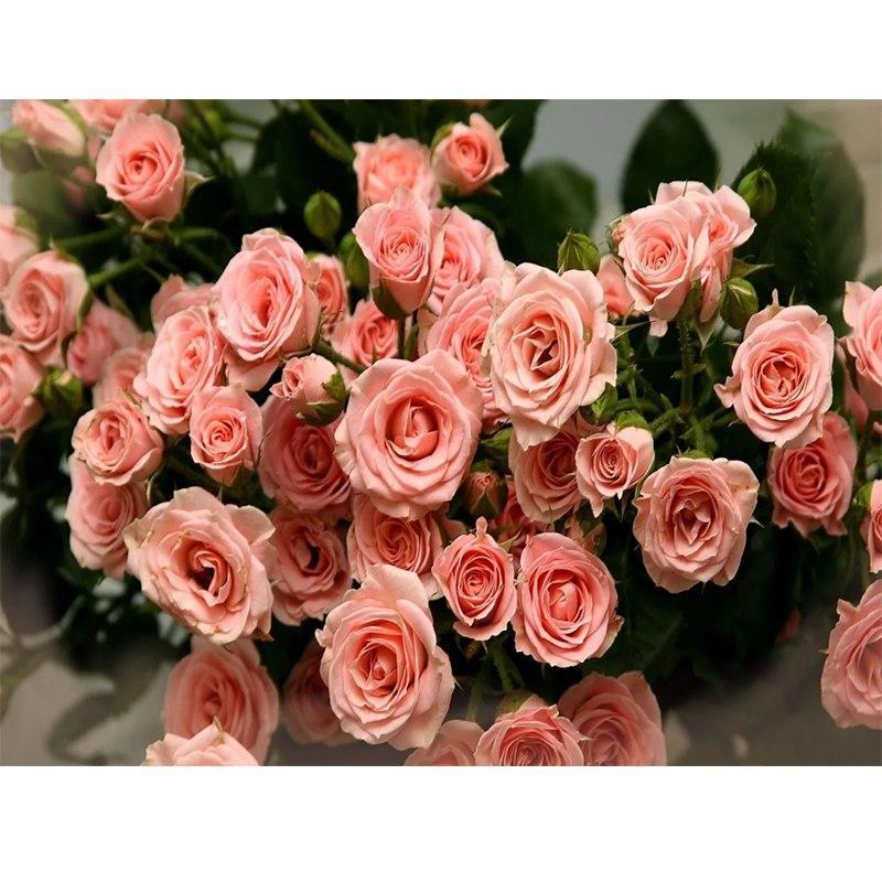Roses 5D Diamond Painting Kit