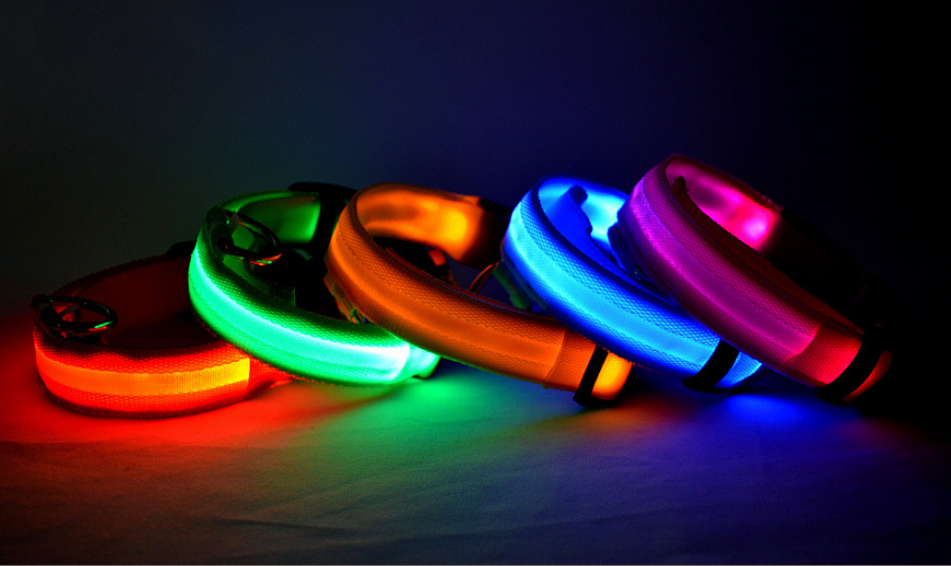 LED Light-Up Dog Collar
