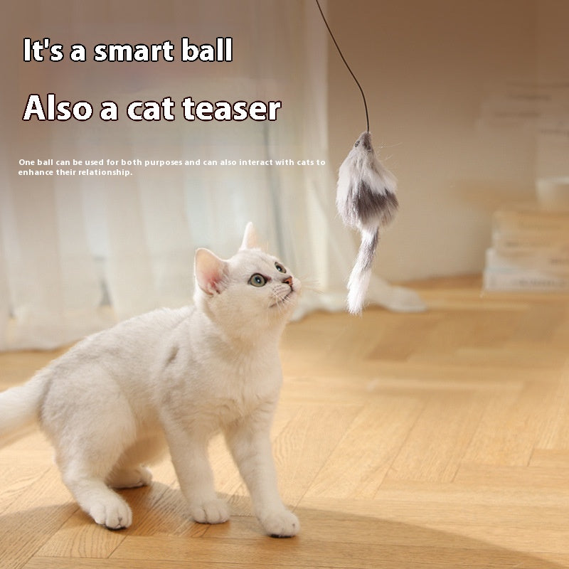 Rolling Mouse Teaser Ball