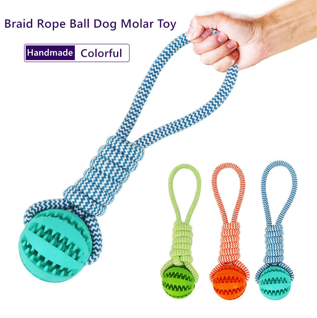 Rope & Rubber Treat Ball