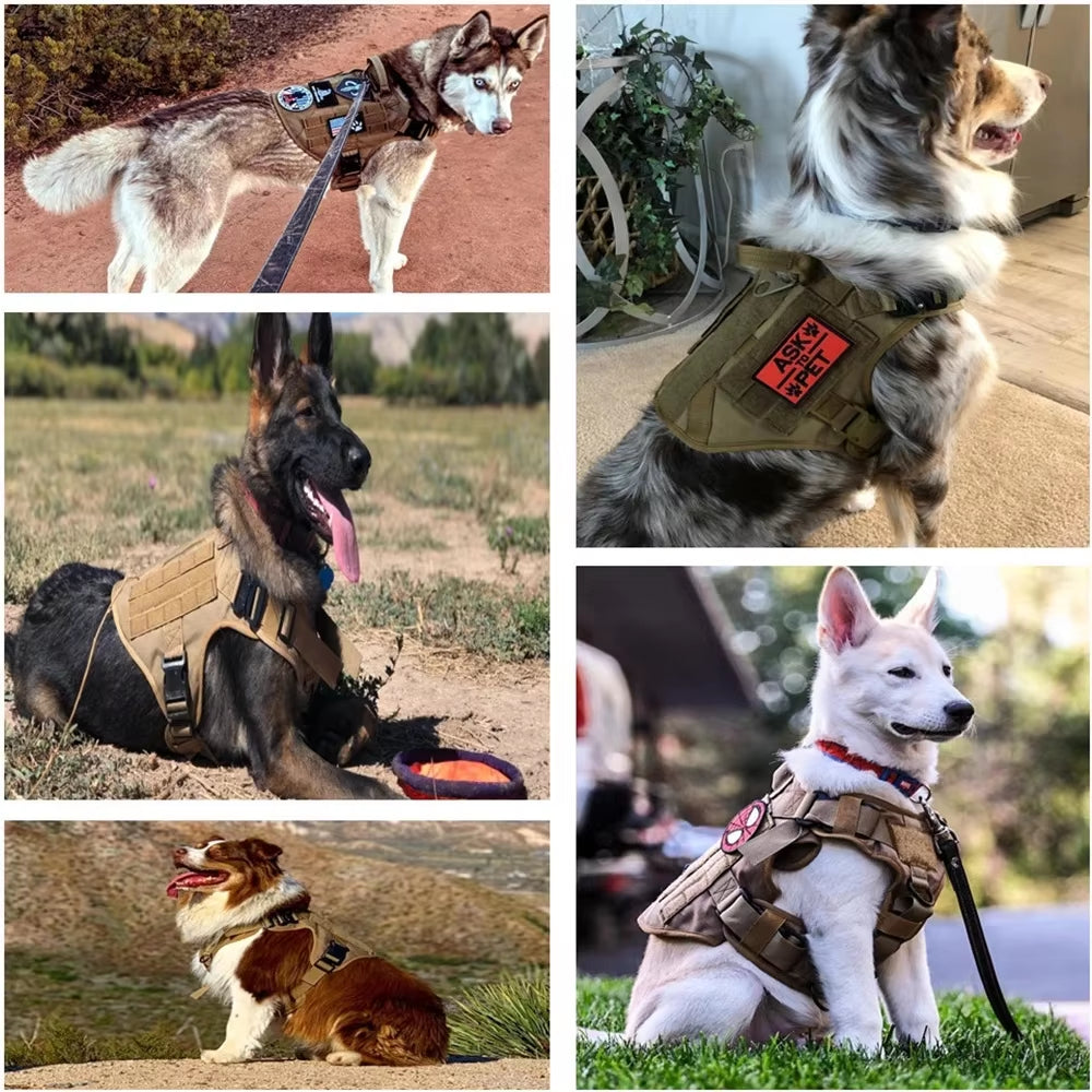 Camo Dog Harness & Leash Set