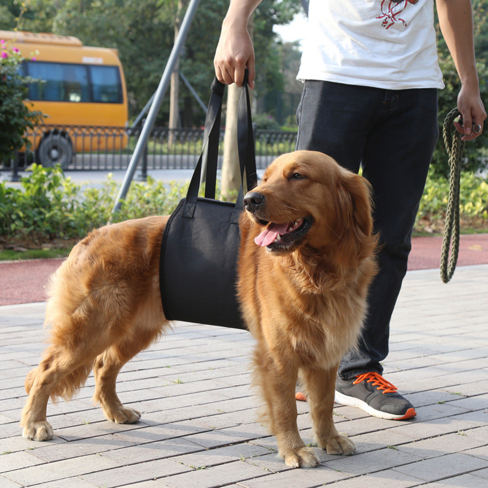 Dog Rear Support Sling
