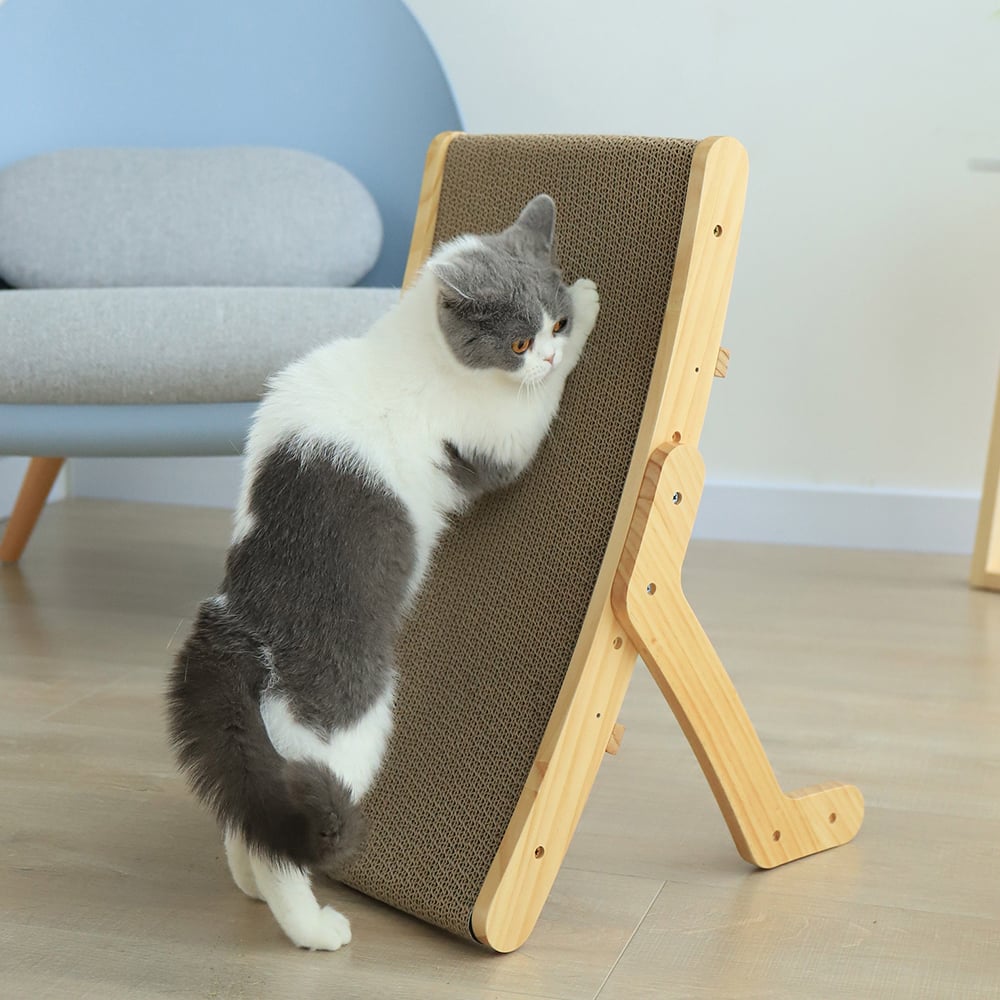 Convertible Cat Scratcher Bed