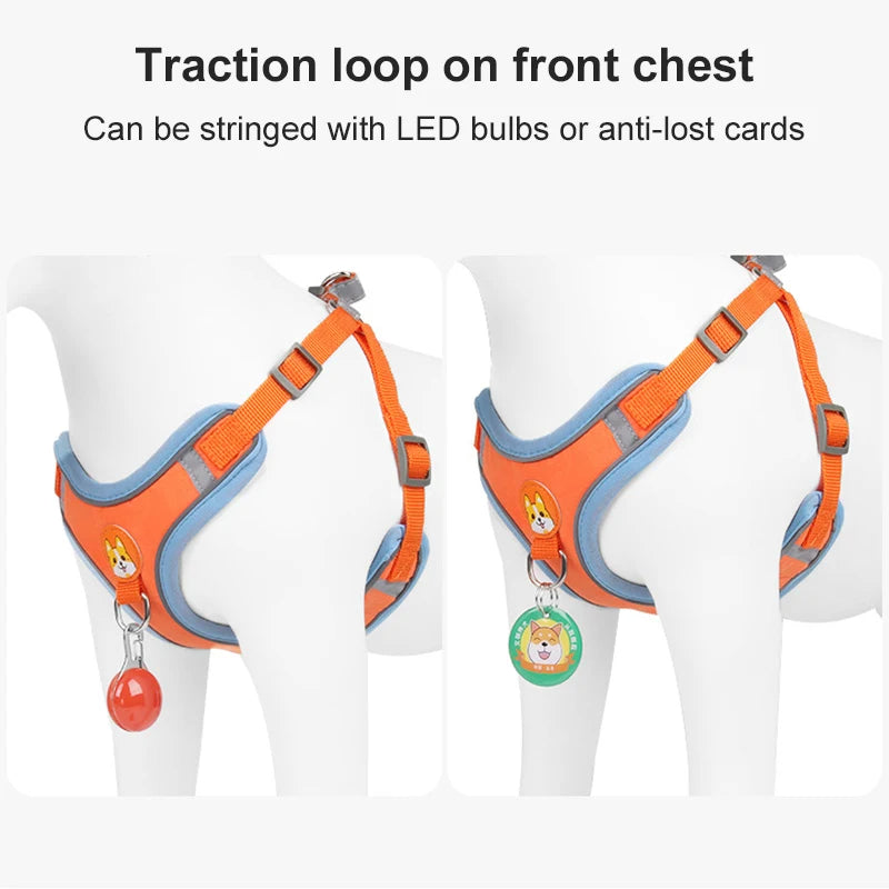 Reflective No-Pull Dog Harness & Leash