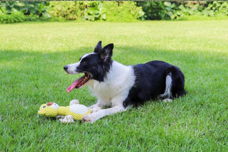 Plush Chew-Resistant Dog Toy