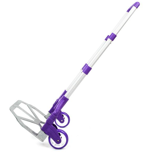Folding Luggage Cart
