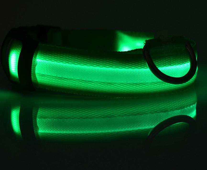 LED Light-Up Dog Collar