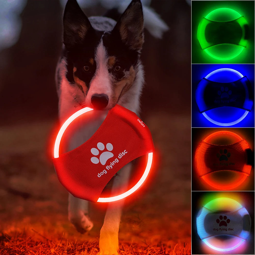 Light-Up Dog Flying Disc