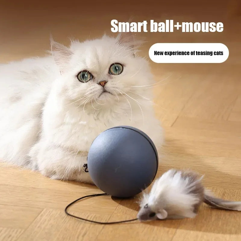 Rolling Mouse Teaser Ball