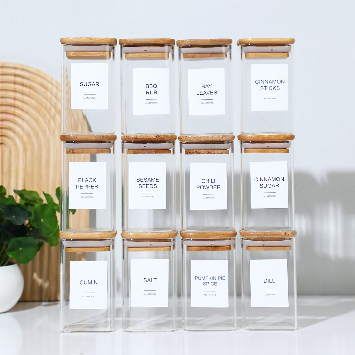 Glass Spice Jar Set (12 pcs)