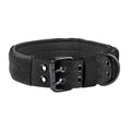 Padded Nylon Dog Collar