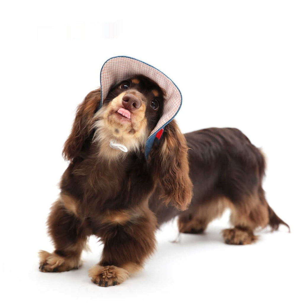 Pet Cowboy Hat
