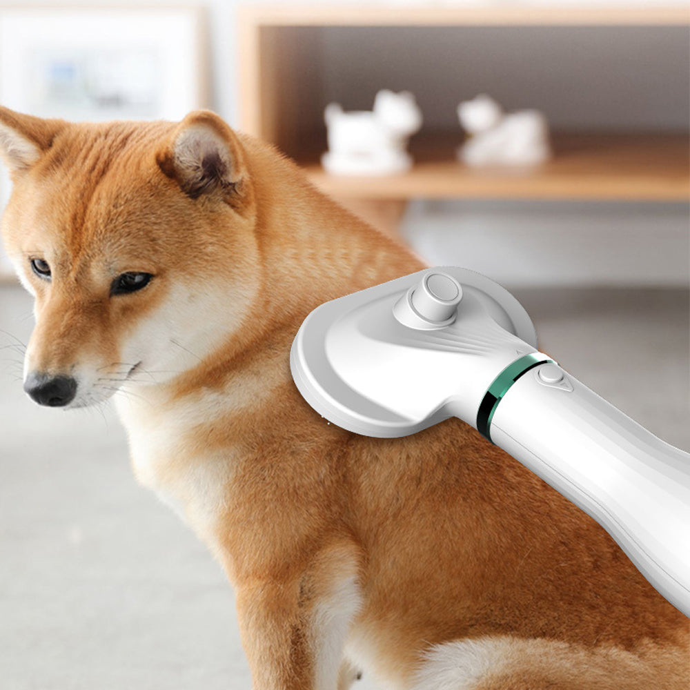 Self-Cleaning Pet Slicker Brush