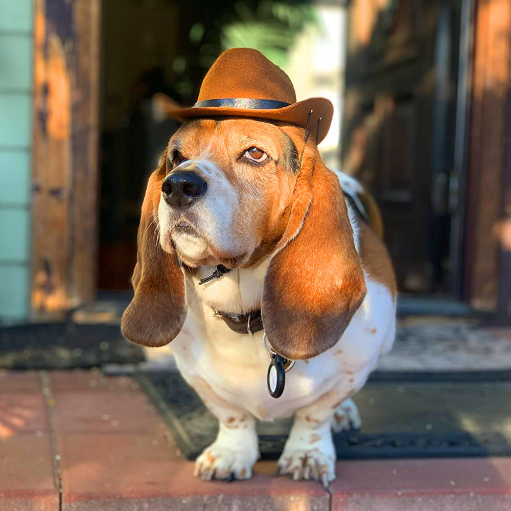Dog Cowboy Hat