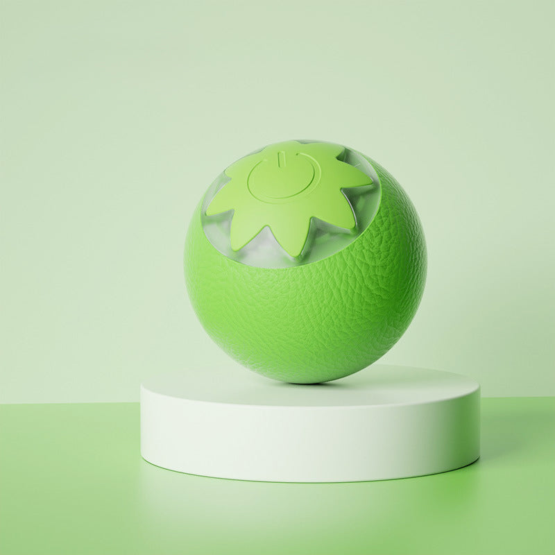 Automatic Rolling Ball for Pets