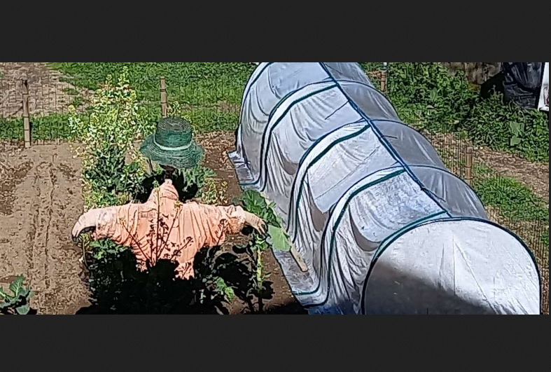 Portable Tunnel Greenhouse