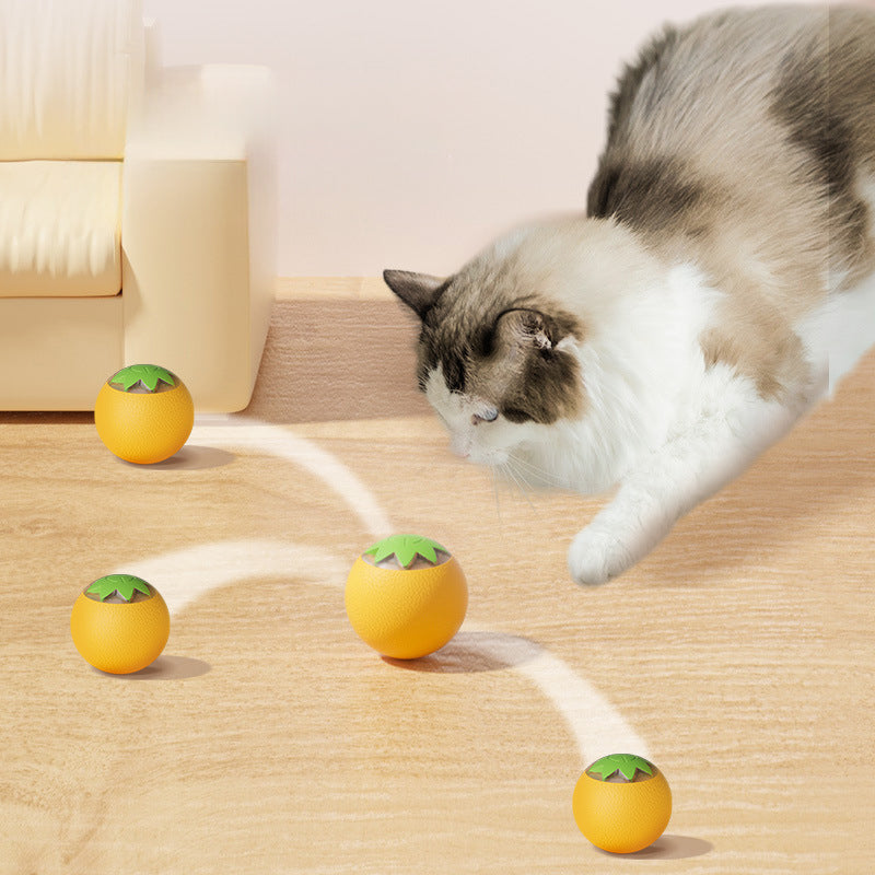 Automatic Rolling Ball for Pets