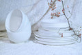 16-Piece Bone China Dinnerware Set (Service for 4)