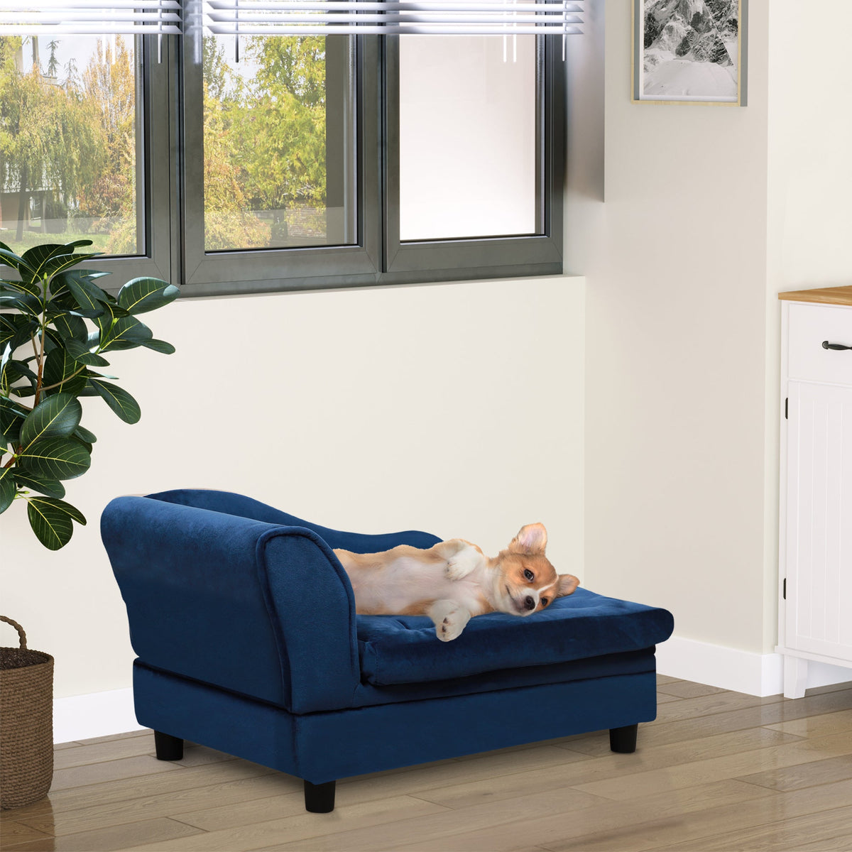 Small Dog Sofa Bed with Hidden Storage