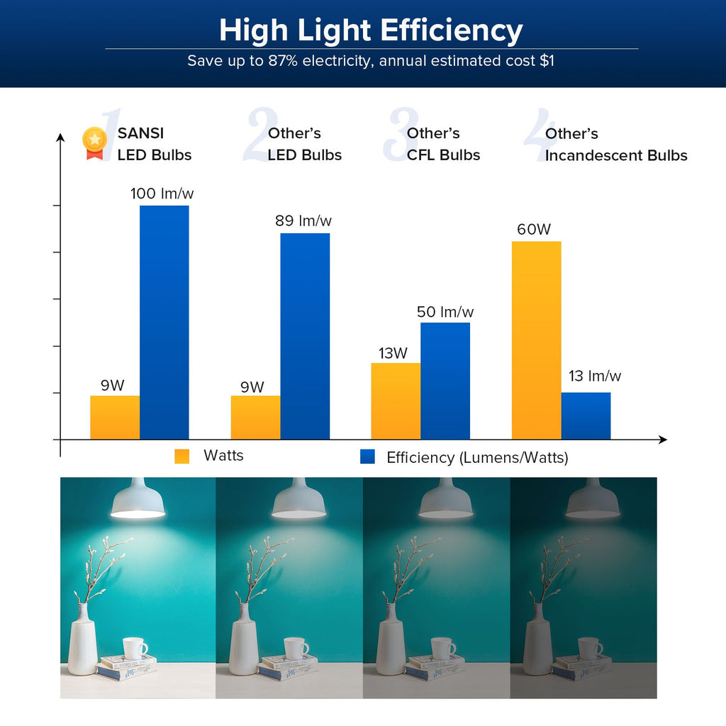 60W-Equivalent LED Light Bulbs (E26)