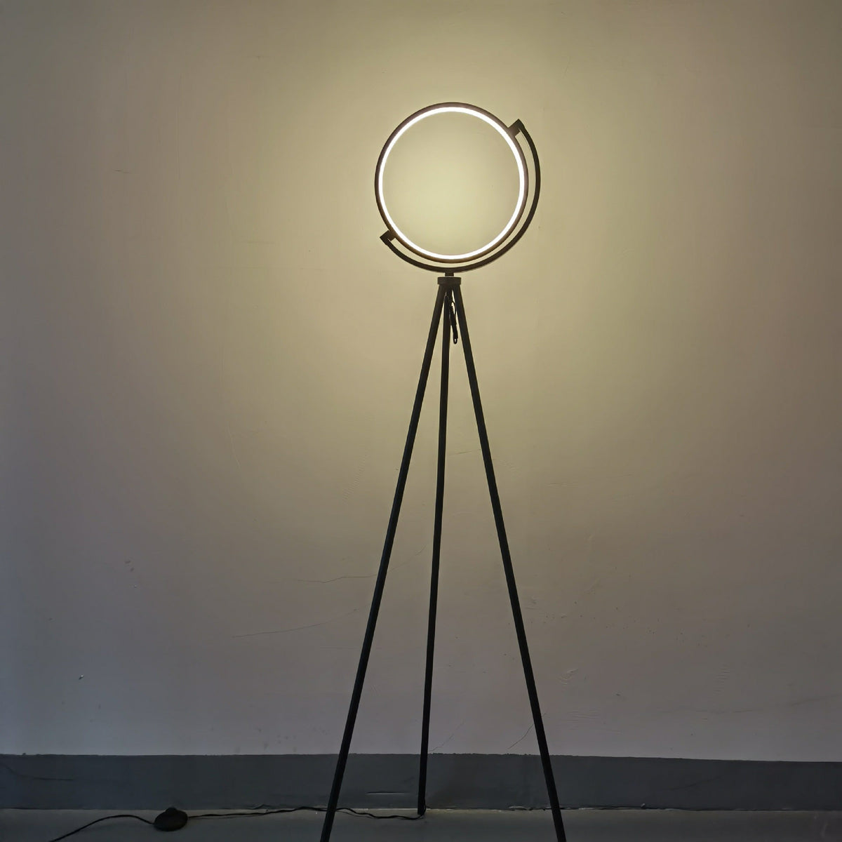 Minimalist LED Floor Lamp