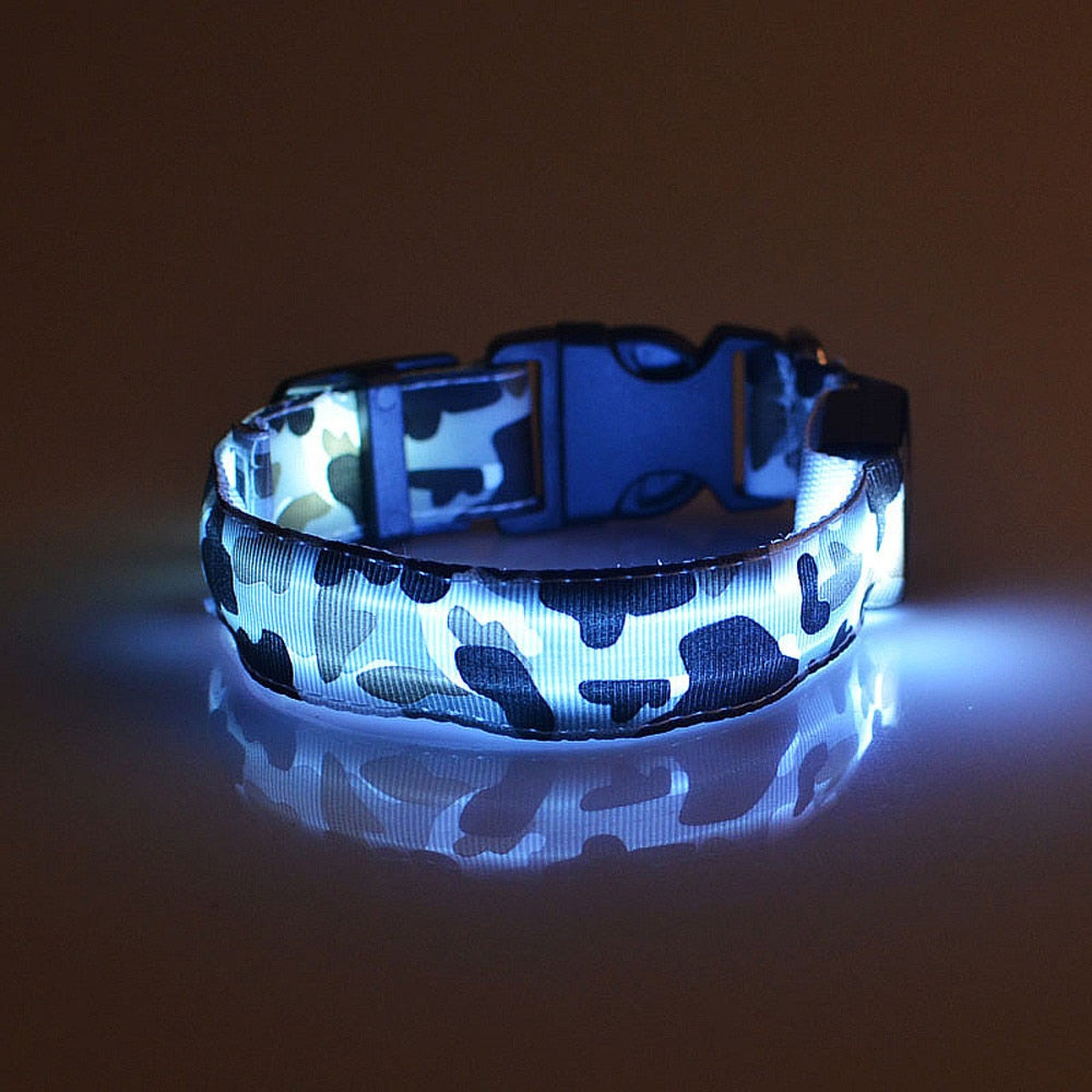 LED Light-Up Dog Collar