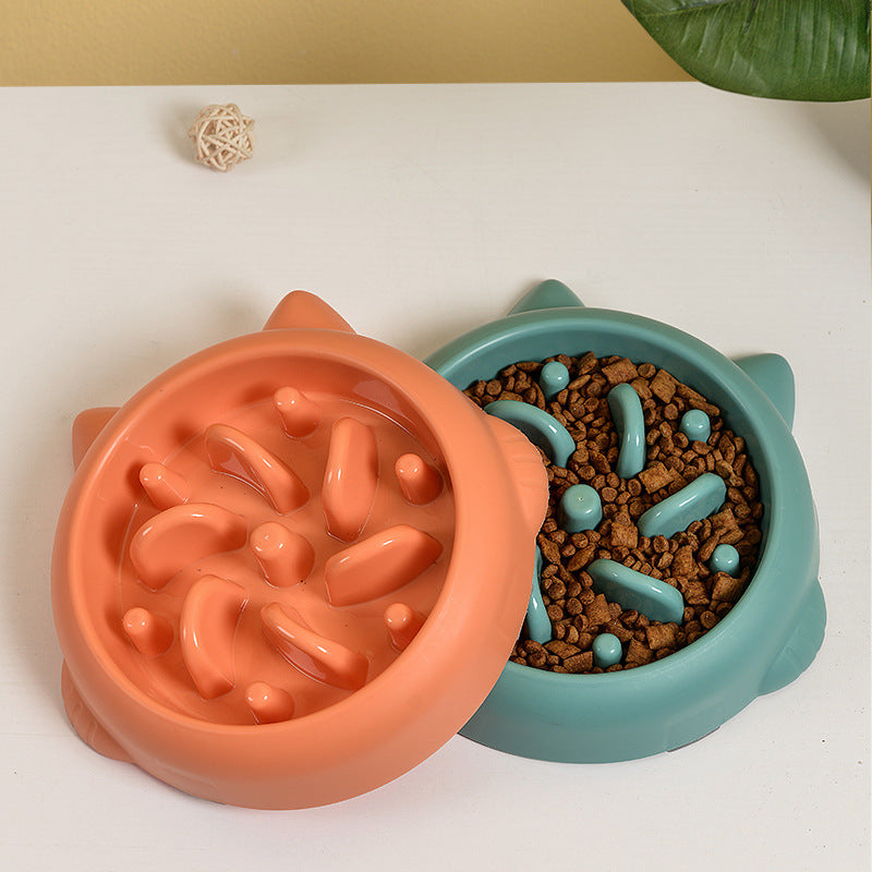 Slow Feeder Dog Bowl