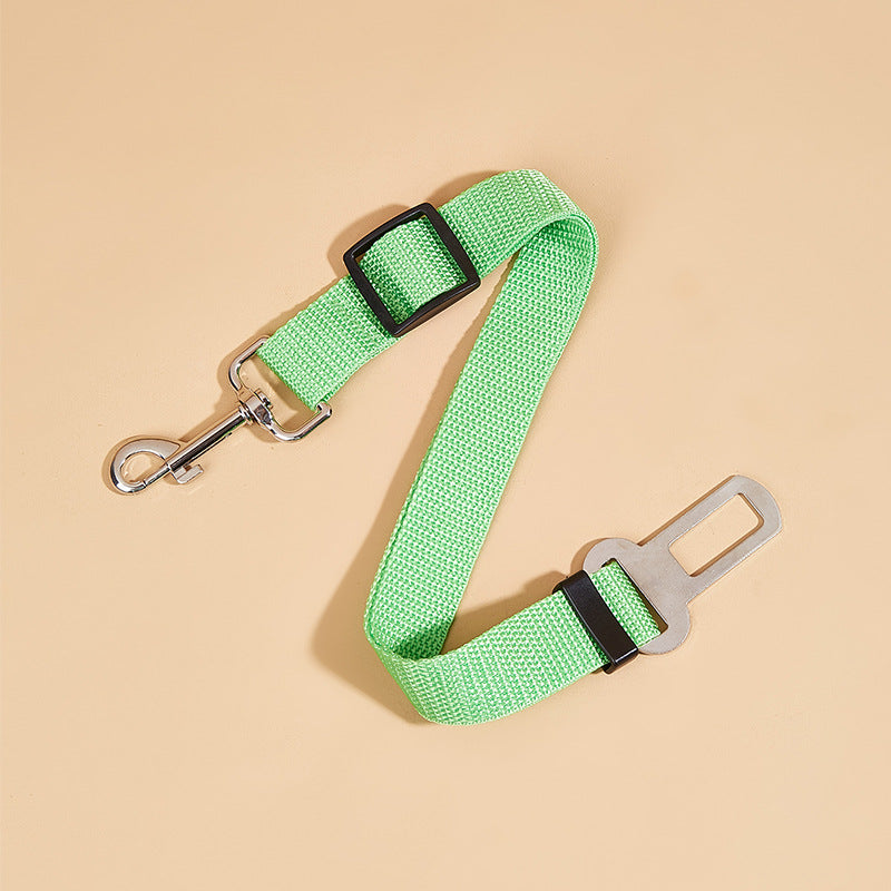 Retractable Dog Leash