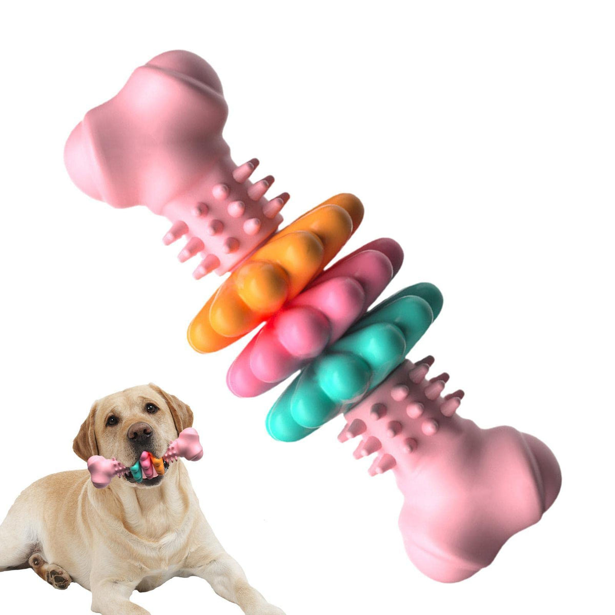 Durable Bone Chew Toy