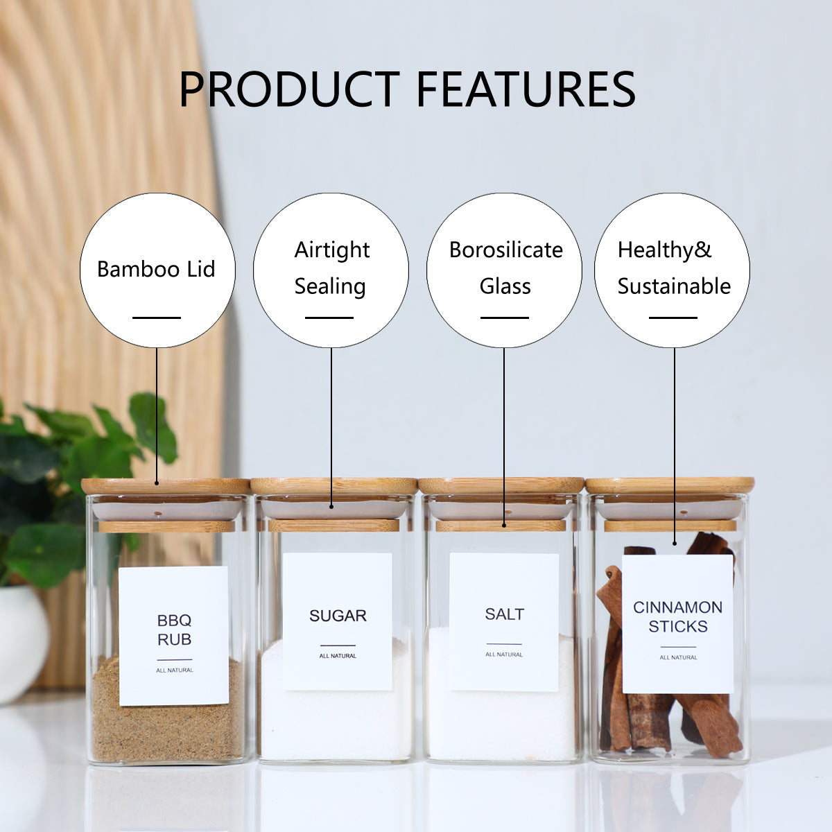 Glass Spice Jar Set (12 pcs)