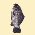 Fish-Shaped Canvas Pencil Case