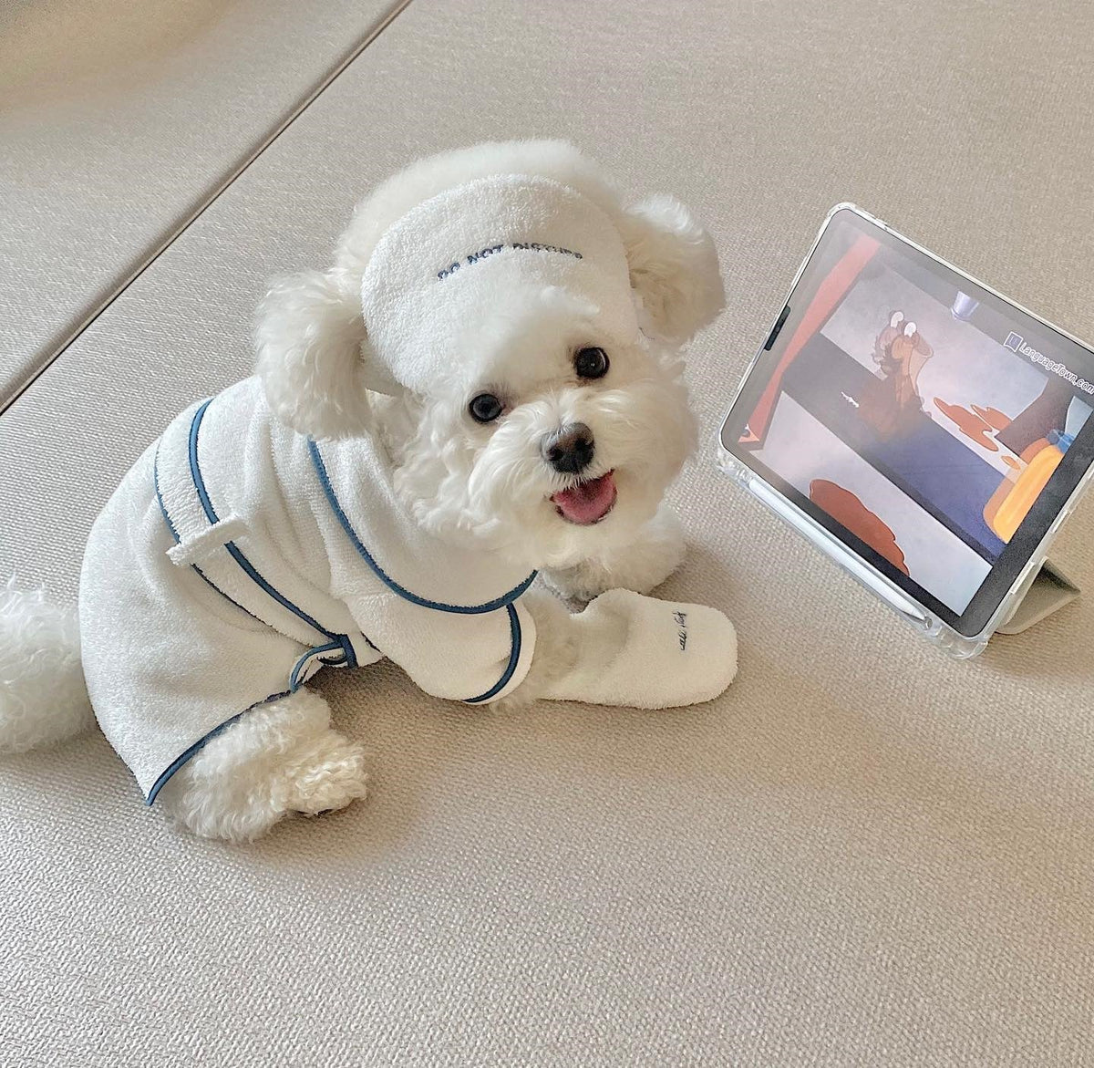 Pet Bathrobe & Spa Photo Props