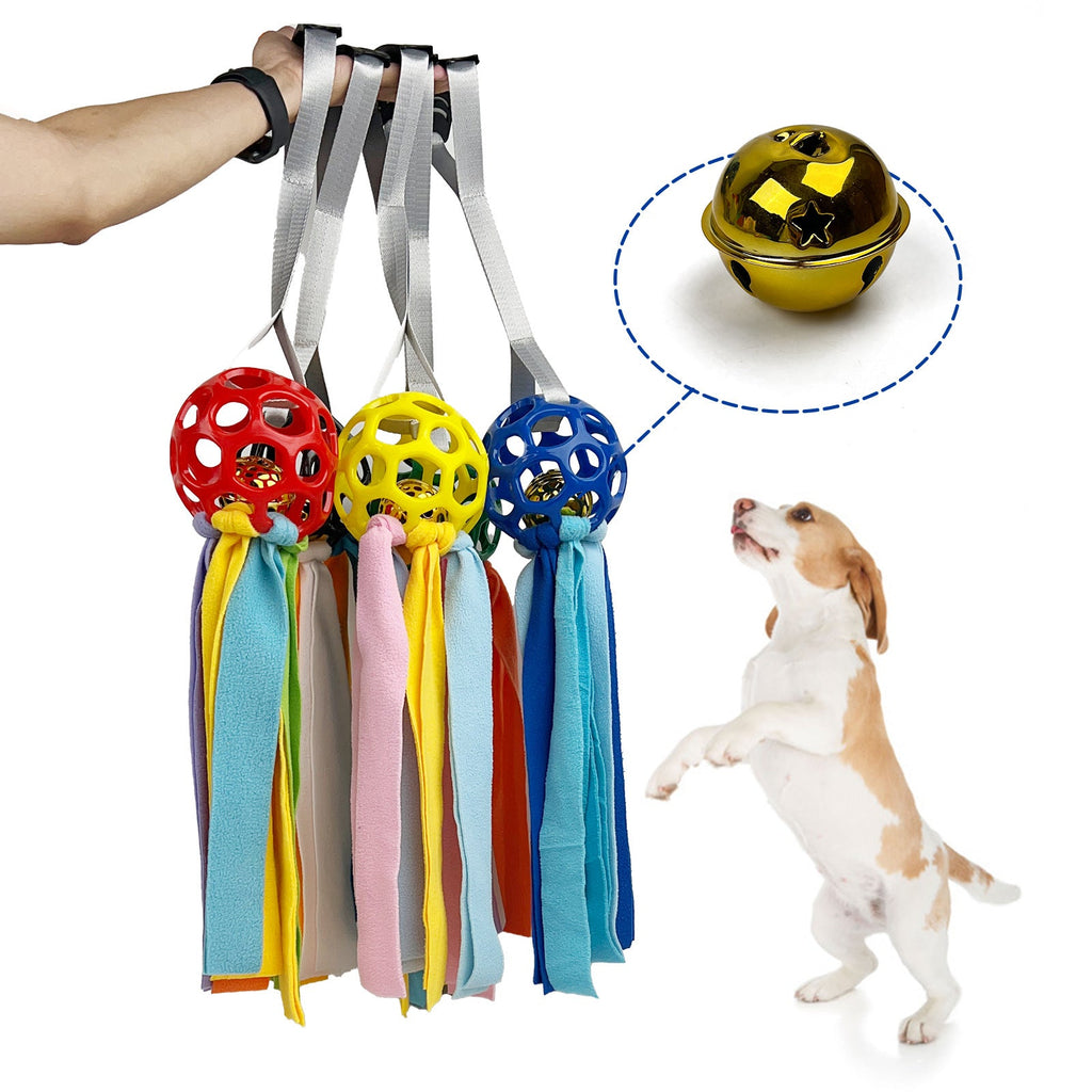 Hollow Treat Ball with Bell