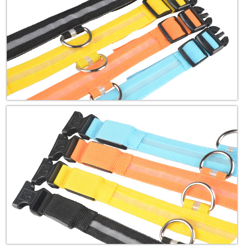LED Light-Up Dog Collar