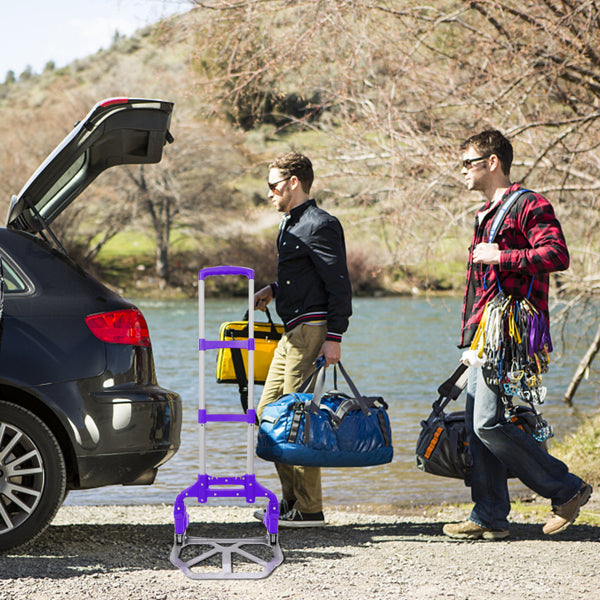 Folding Luggage Cart