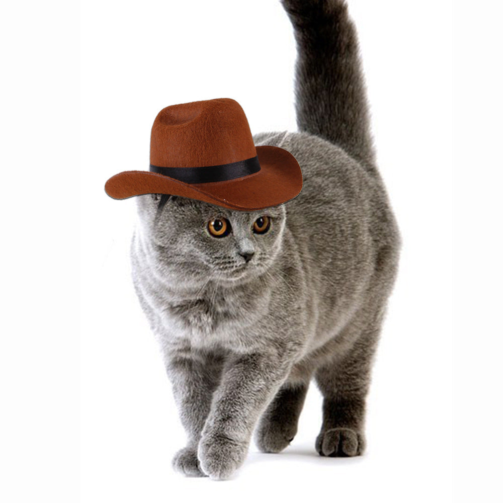 Dog Cowboy Hat