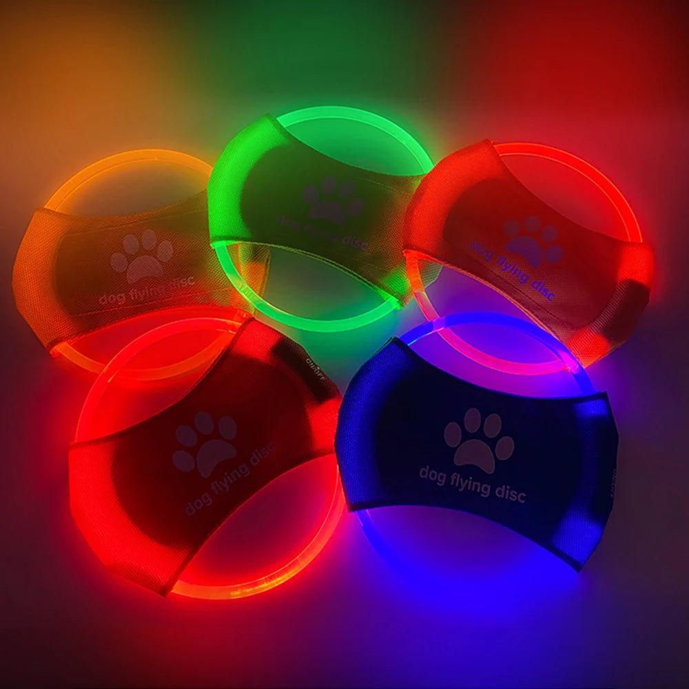Light-Up Dog Flying Disc