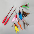 Cat Teaser Wand Set (10 pcs)