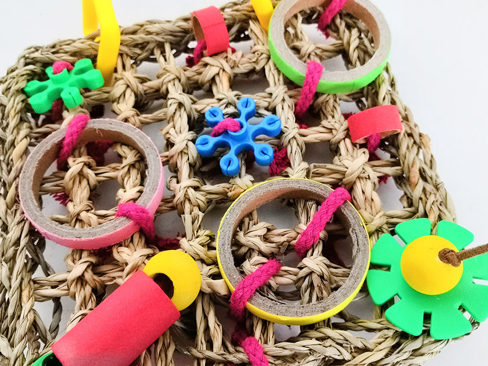 Colorful Parrot Chew Blocks