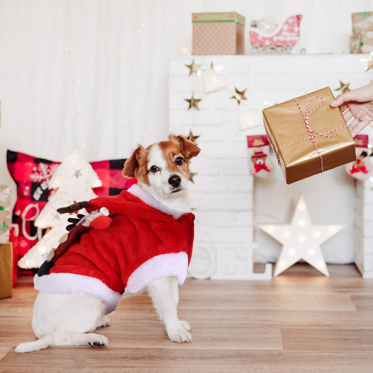 Santa Reindeer Pet Costume