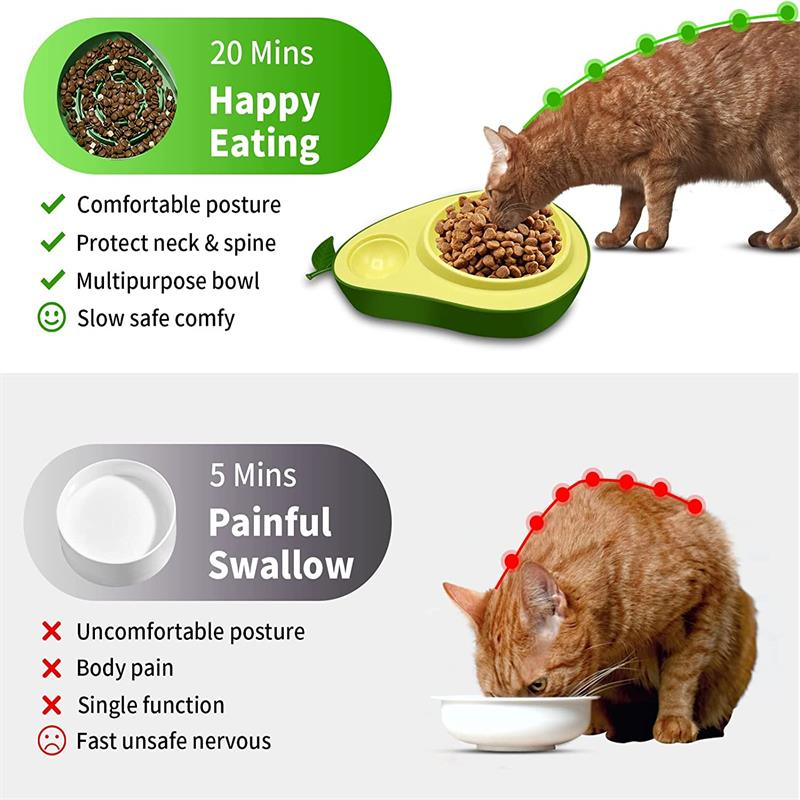 Avocado Pet Feeder Set