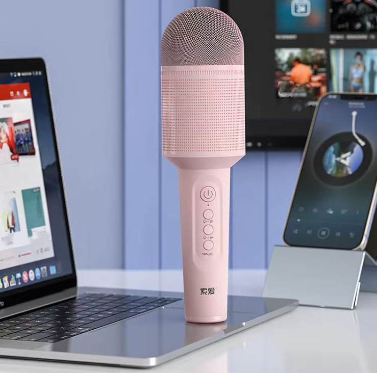 Karaoke Microphone with Built-In Speaker