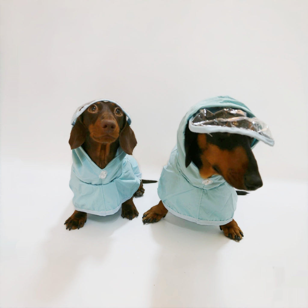 Dog Hooded Rain Poncho
