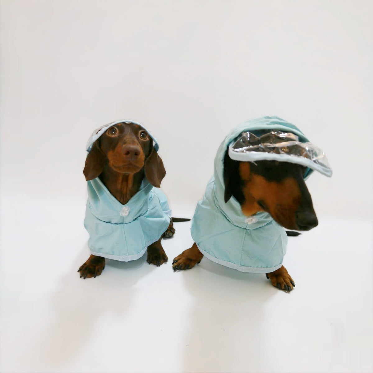 Dog Hooded Rain Poncho