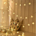 Warm Star String Lights