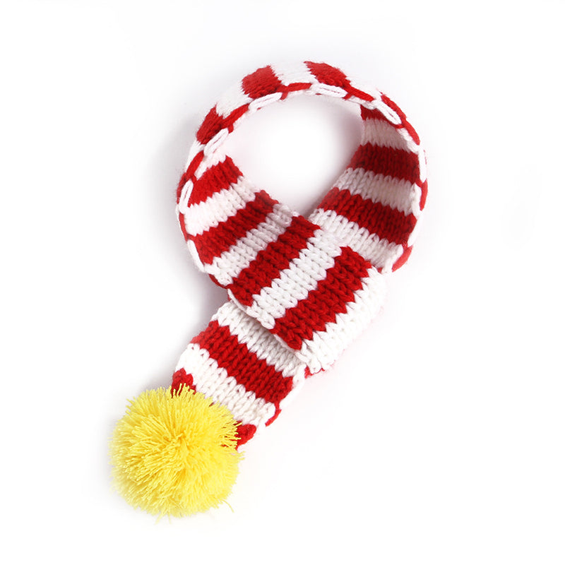 Holiday Pet Costume Cape