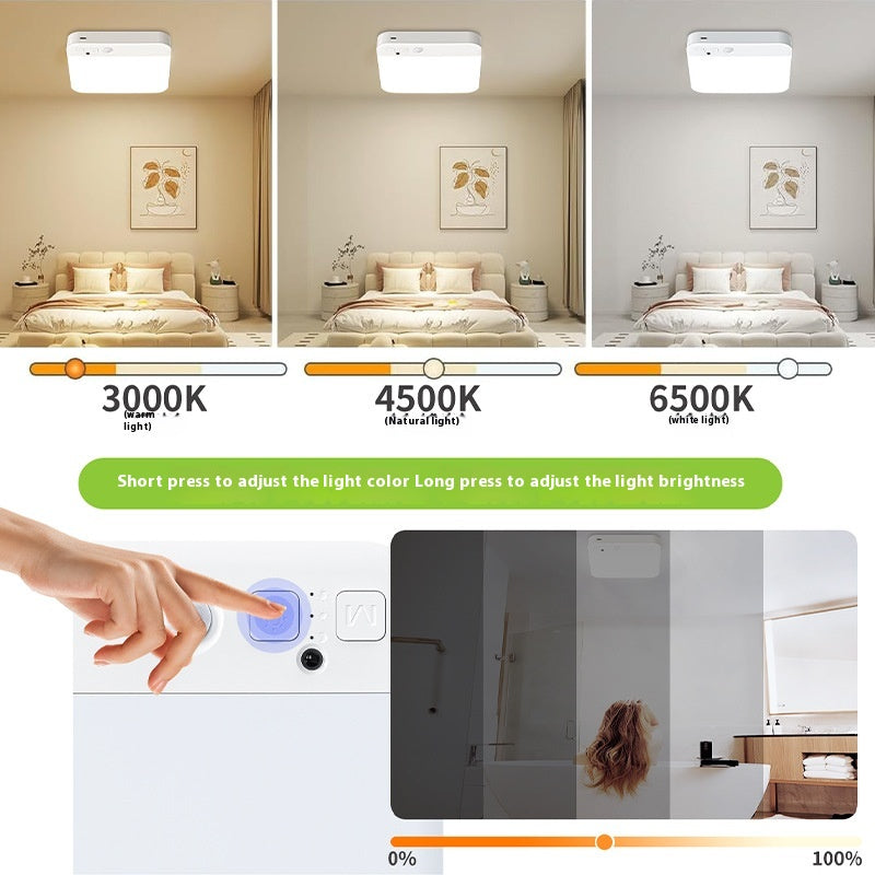 Rechargeable Motion Sensor Ceiling Light