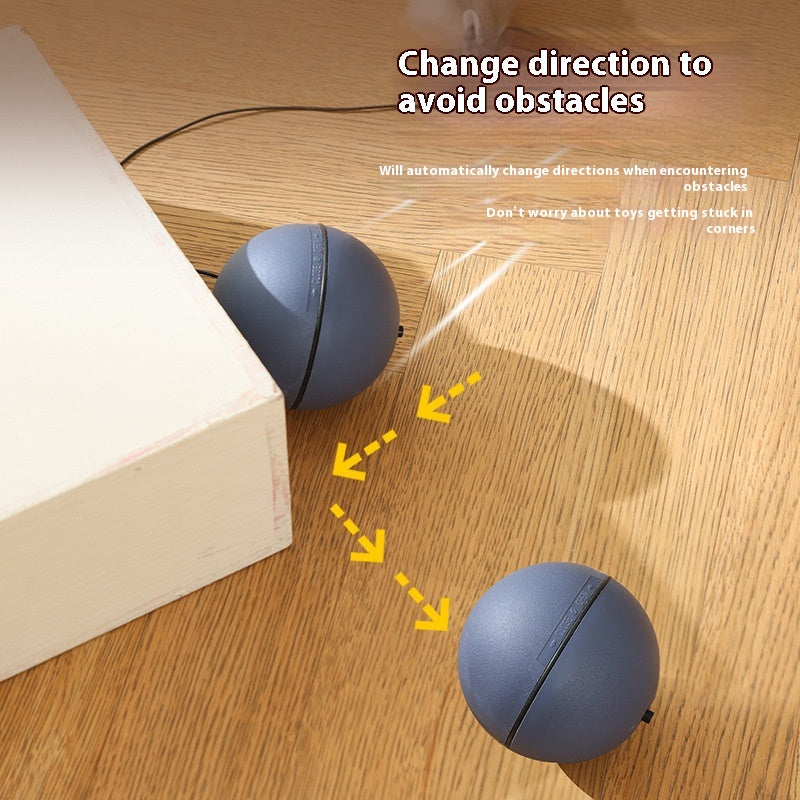 Rolling Mouse Teaser Ball