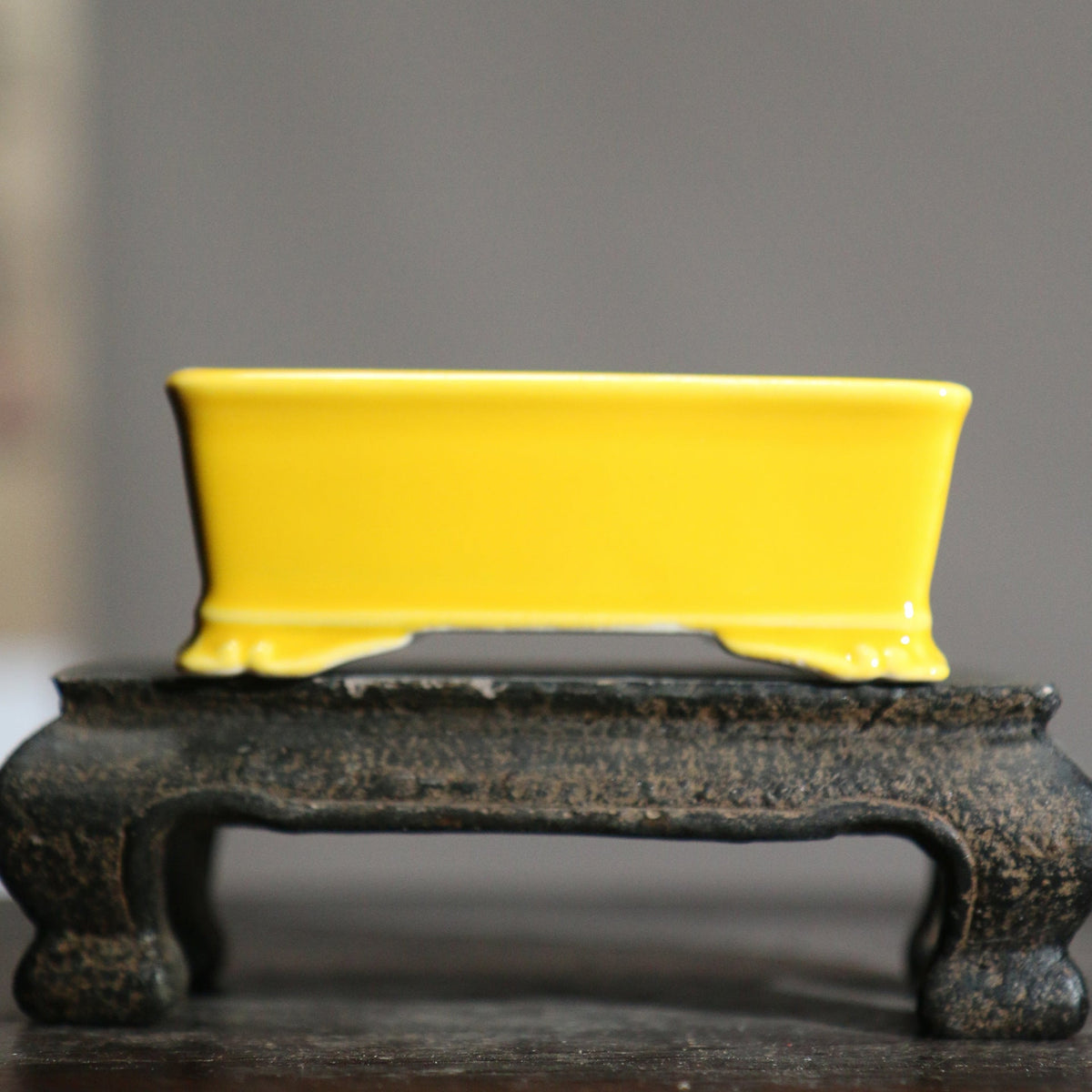 Mini Rectangular Ceramic Planter